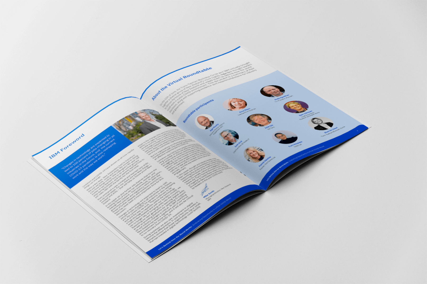 Portfolio project for IBM